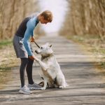 Canine Confidence: Building Trust through Training