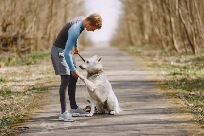 Canine Confidence: Building Trust through Training