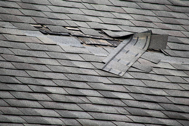 How to Choose the Best Shingles for Your Roof